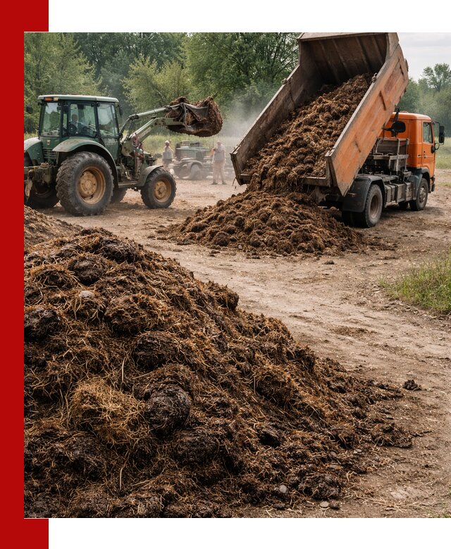 Доставка навоза самосвалами в Тамбове для сельхозпотребностей